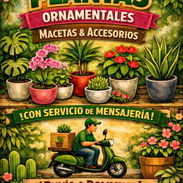 Servicios de jardineria - Img 55063809