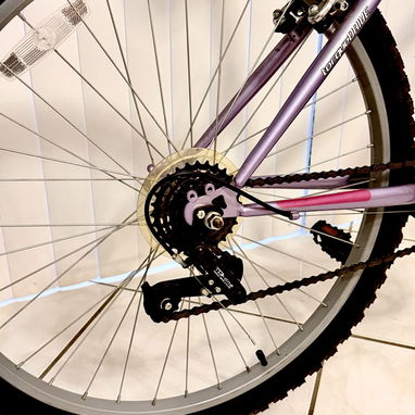 Bicicleta Pacific 26” - 5/5