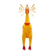 POLLOS CHILLONES - Img 57679364