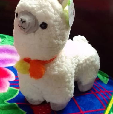 PELUCHES NUEVOS CON etiqueta - DIA DE LOS ENAMORADOS - Img 86580505