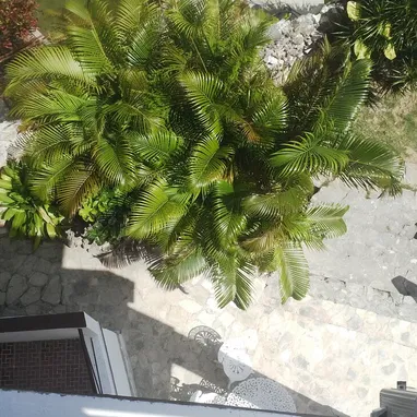 " Venta de Casa 5pisos en Guanabo  " - Img 122343724