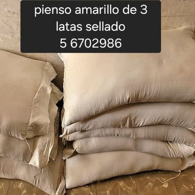 Vendo Pienso para cerdo y otros granos - 2/4