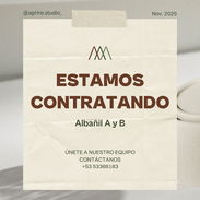 Contratamos albañiles a tiempo completo - Img 56166911