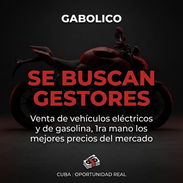 OFERTA DE EMPLEO DESDE LA COMODIDAD DE SU HOGAR - Img 57451147