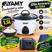 Olla arrocera de bajo consumo para ecoflow - Img 58091442