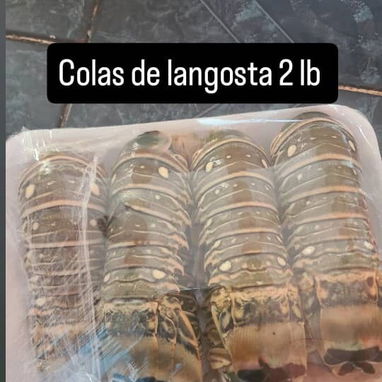 Venta de marisco - Img 118926831