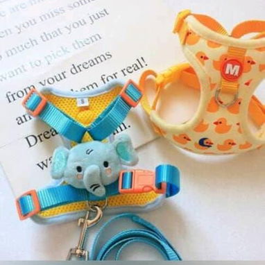 Tienda de artículos para mascotas. - 5/7