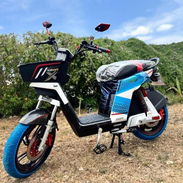 2050 usd 48 volt x 45 amp 1 mes de garantia 120 km - Img 58245302