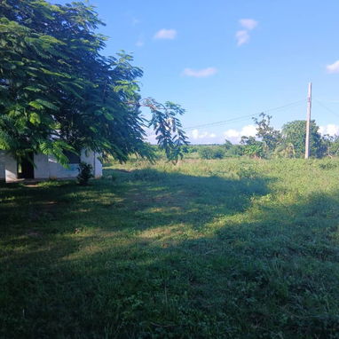 Vendo Finca en Artemisa - Img 122006205