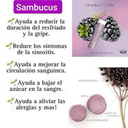 Sambucus - Img 56387335