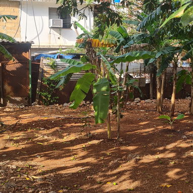 Casa grande en cojimar con apartamento de alquiler - Img 122574017