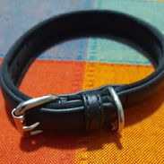 Correa y bosal para mascota - Img 52588826