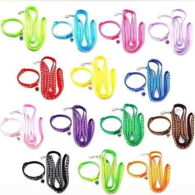 Venta de accesorios para mascotas - Img 124940069