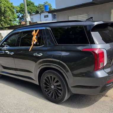 Renta de autos - 3/8