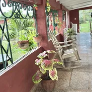 Se busca pareja madura campesina de campo para trabajar en finca - Img 57971474