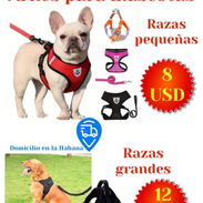 Arnés para mascotas - Img 56321706