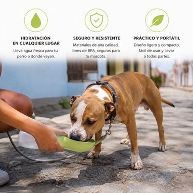 BOTELLA BEBEDERO PORTATIL PARA MASCOTAS - Img 126164704