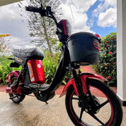 Bicimoto AVA 2026 - Img 56536424