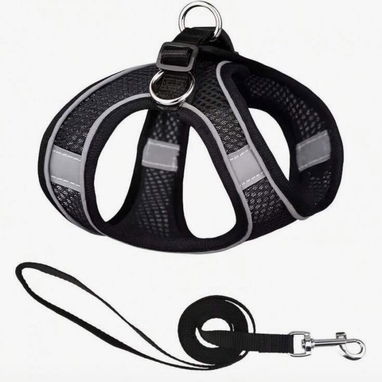 Artículos para perros - Img 125334595