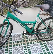 Bicicleta con caja - Img 46006392
