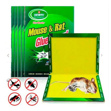 Trampa para raton guayabito - Img 119971719
