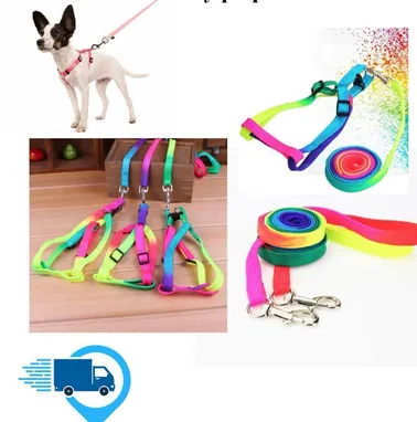 Collar, Shampo y jabón antipulgas, correas con pechera y retractil - Img 98178632