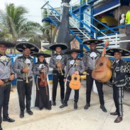 Mariachi - Img 56844350