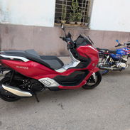 Panther speeder 125cc d uso - Img 57831387