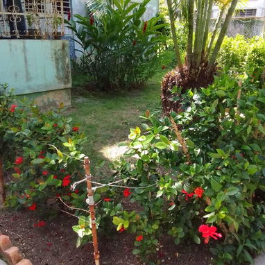 Venta de casa - Img 125461990