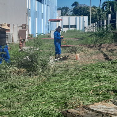 Servicios de Jardinería Profesional - 5/8