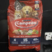 Pienso seco Purina Campeón para perros adultos, 800g - Img 52060943