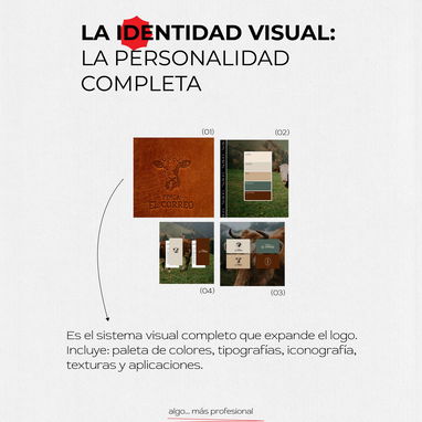 DISEÑO REDES SOCIALES - Img 108340681