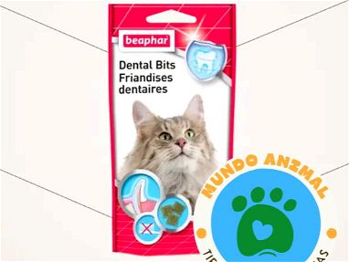 Beaphar Gel Dental para gatos y perros - Img main-image-45901183