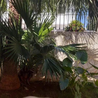 Se vende casa independiente con piscina, garaje con permiso de renta con superficie de500m² - Img 118277468