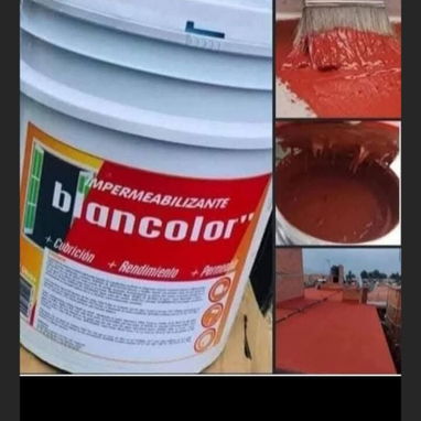 Pintura de calidad - Img 122889067