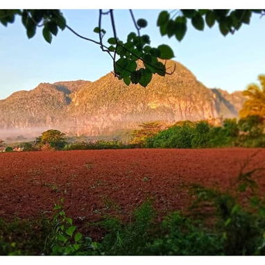 Habitación económica en Viñales para 4 personas – Precio desde 15 USD – Paneles solares incluidos - Img 119630315