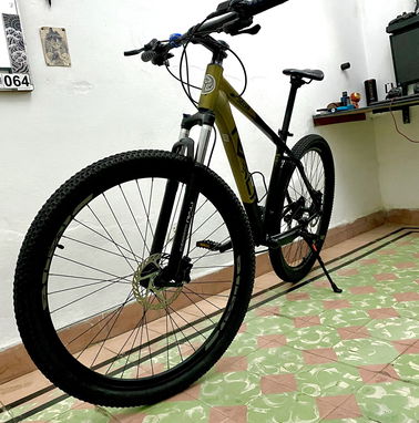 Bicicleta rali fashion selva 29