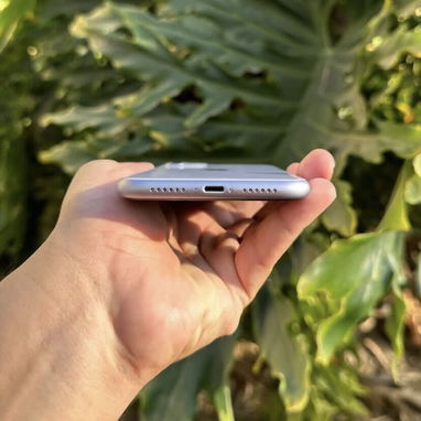 iPhone 11 - Img 124202367
