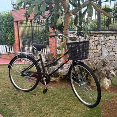 Bicis 26 - Img 123585577