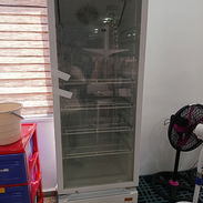 Exhibidor Royal de 12.5 pie - Img 53988942