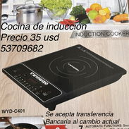 Wynwood cocina de inducción de 2000 watts - Img 57150794