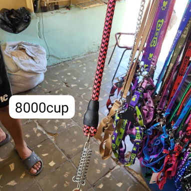 Correas para tus mascotas diferentes tallas y tipos - Img 125190368