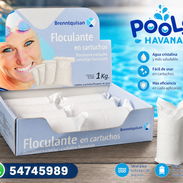 Pastillas de Floculante de 70 gramos - Img 52923480