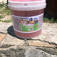 Si tienes humedad y filtraciones aquí tiene su solución aproveche sus buenas pintura original selladas no dude en llamar - Img 55490767