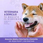 Atención médica veterinaria a domicilio y en clínica privada, atendemos perros, gatos y jicotea, atención 24h (Kinetica) - Img 48119348
