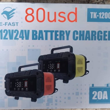 Cargador inteligente de batería 12v 24v 20a - 2/2