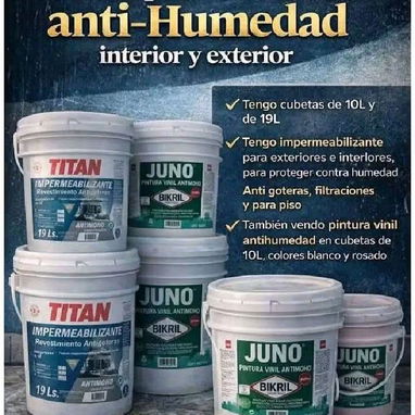 Esmalte a base de agua y pintura Vinil antihumedad - 2/4
