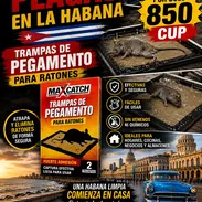 Trampas para ratones de pegamento 100%efectivas - Img 56877732