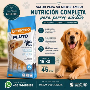 PIENSO PARA PERROS Y GATOS DE LA MEJOR CALIDAD - Img 122056068