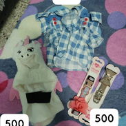 Ropa y collar de mascotas - Img 55928853